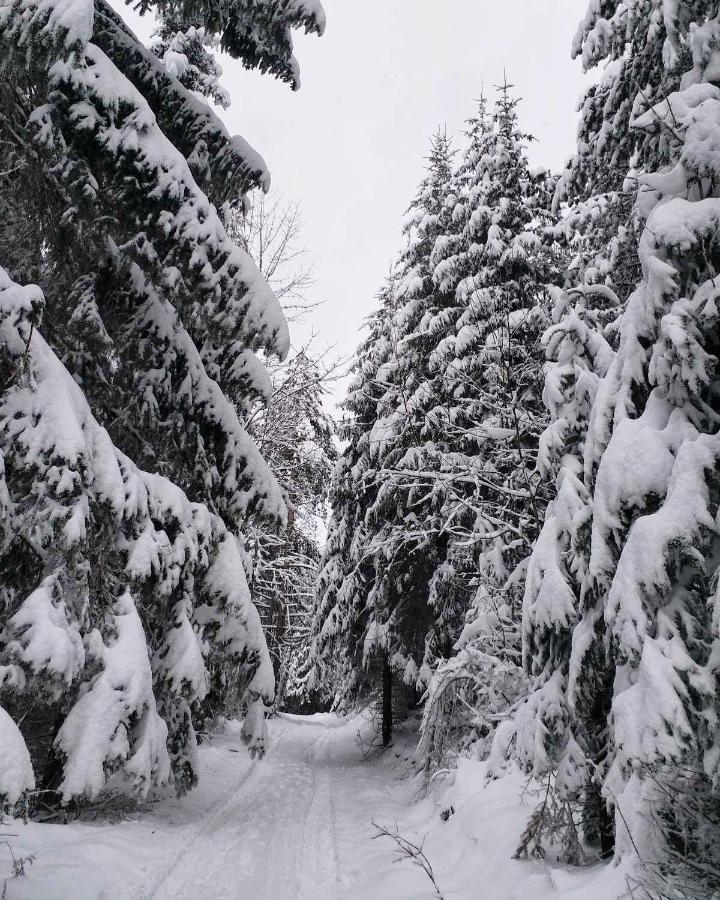 Appartamento Dren - Banjska Stena Mitrovac Esterno foto