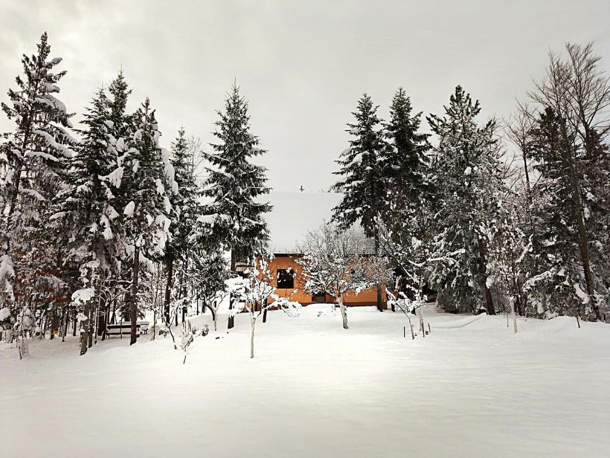 Appartamento Dren - Banjska Stena Mitrovac Esterno foto