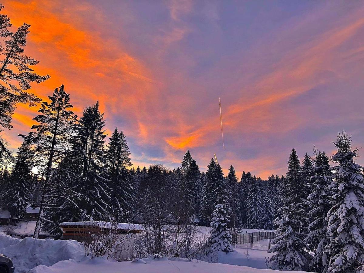 Appartamento Dren - Banjska Stena Mitrovac Esterno foto